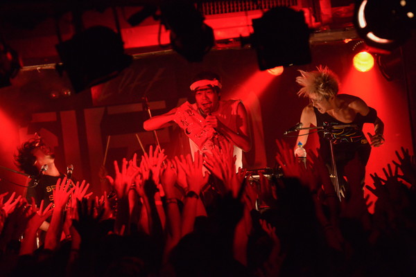 「the telephones」9枚目/18