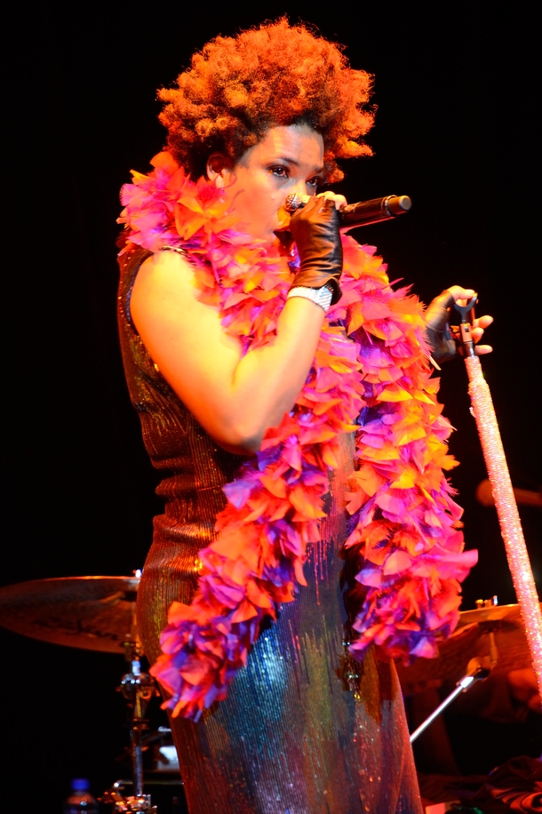 「心地好い“一撃”。新しい年に自らの魂をさらけ出して聴くオルタナティヴ・ソウル・ディーヴァ、メイシー・グレイの歌声。」1枚目/12