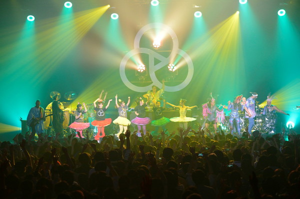 「ベースメント・ジャックス、チームしゃちほこも登場した来日公演レポート、思い知らされた“踊る”楽しさ」1枚目/7