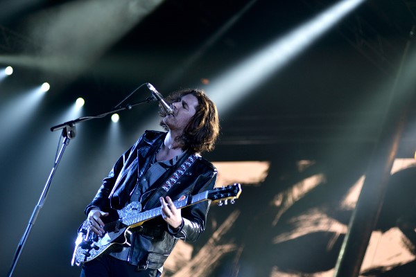 「ホージア（C）BBC / Steve Barney」3枚目/13