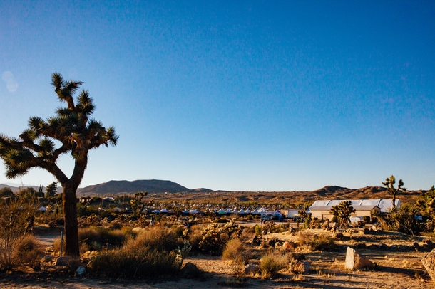 「Desert Daze 2016 」20枚目/67