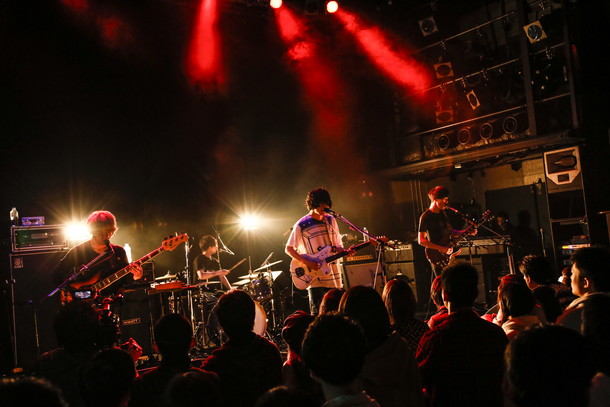 「polly」2枚目/20