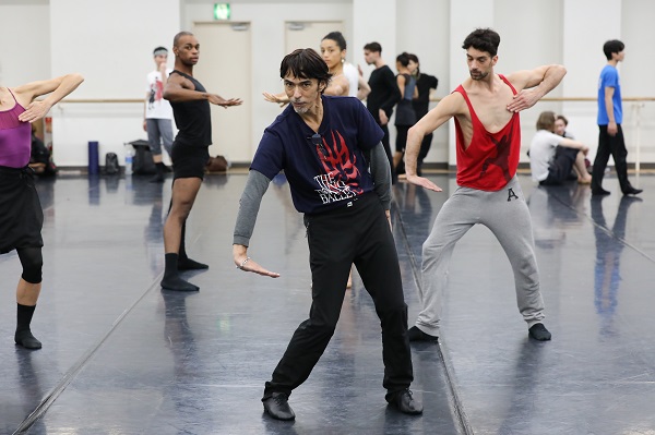 「【ベジャール・セレブレーション】間もなく開幕、「プログラムの全体を大きなアンサンブルに」」1枚目/6