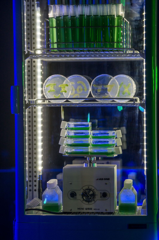 「Kenshu Shintsubo」29枚目/48