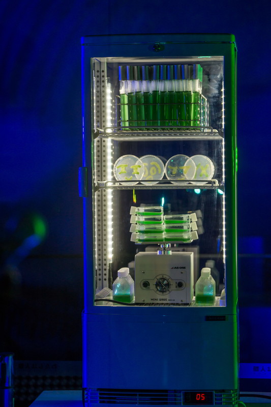 「Kenshu Shintsubo」30枚目/48