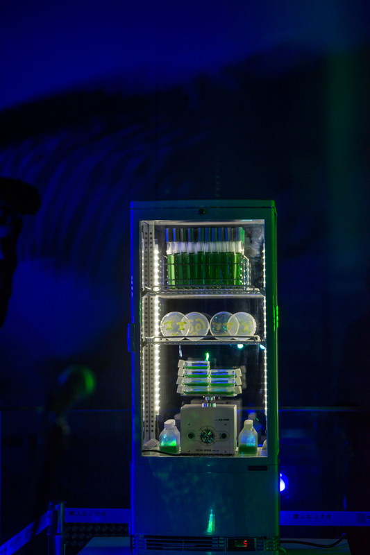 「Kenshu Shintsubo」31枚目/48