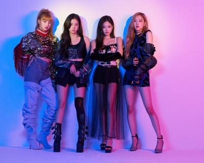 「BLACKPINK、初ドームライブとリアリティ番組の映像2作品を3月同時発売」1枚目/3