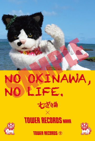 むぎ（猫）「むぎ（猫）の特番が生配信＆「NO OKINAWA, NO LIFE.」ポスターに登場」1枚目/3