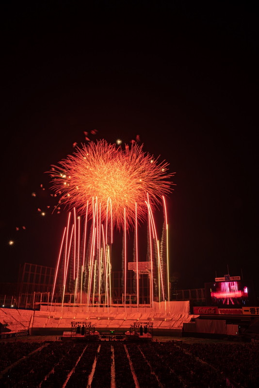 「（C）日刊スポーツ新聞社」7枚目/8