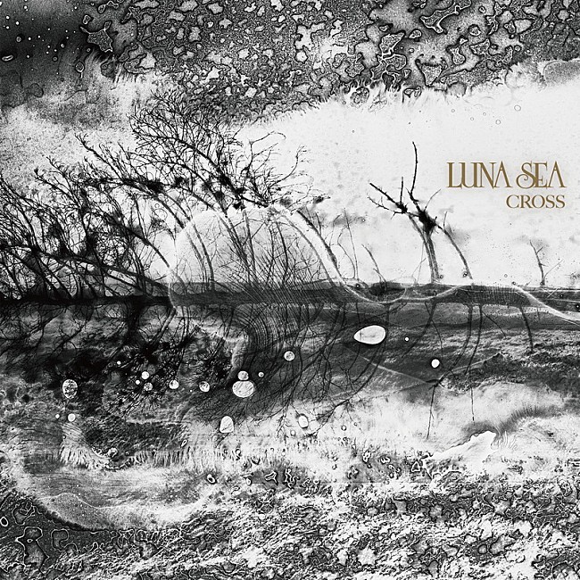 「【ビルボード】LUNA SEA『CROSS』総合アルバム首位　私立恵比寿中学/『Fate』コンピが続く」1枚目/1