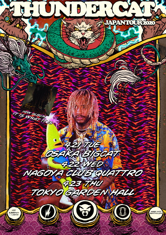 「サンダーキャット、単独来日公演が4月に3都市で開催決定」1枚目/1