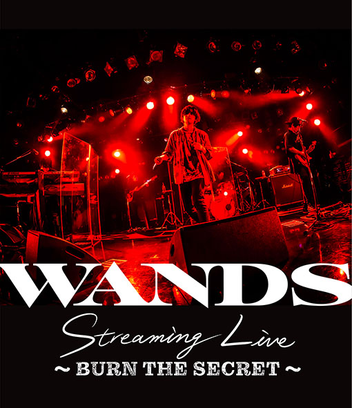 「WANDS、配信ライブ【WANDS Streaming Live ～BURN THE SECRET～】のBlu-ray化が決定」1枚目/4