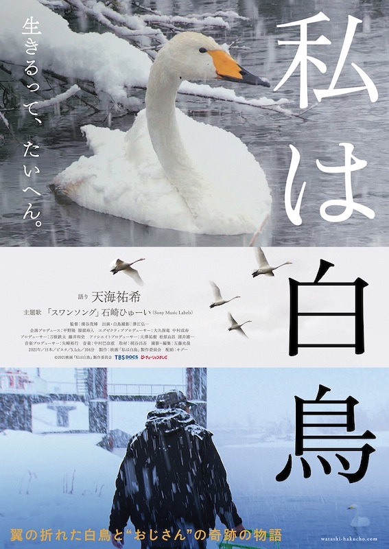 「石崎ひゅーいの新曲「スワンソング」がドキュメンタリー映画『私は白鳥』の主題歌に」1枚目/2