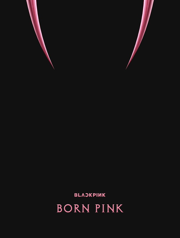 「BLACKPINK アルバム『BORN PINK』BOX SET「PINK ver.」」3枚目/5