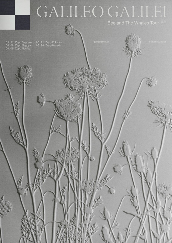 「【Galileo Galilei “Bee and The Whales” Tour 2023】」2枚目/2