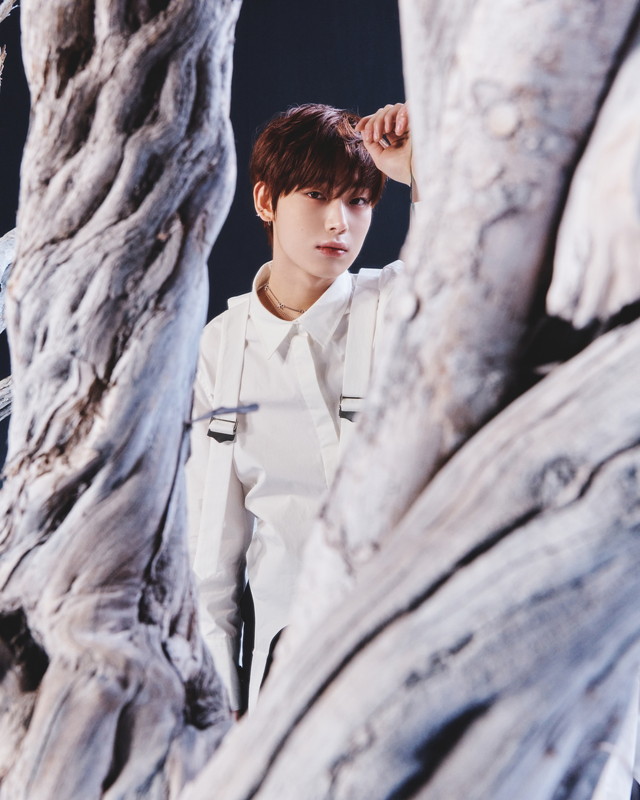 「SUNOO」14枚目/18