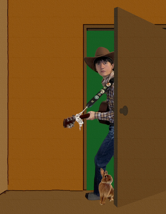 「ポニーのヒサミツ、本格活動10周年を飾るアルバム『ほうむめいど・かうぼうい』を9/27リリース」1枚目/1