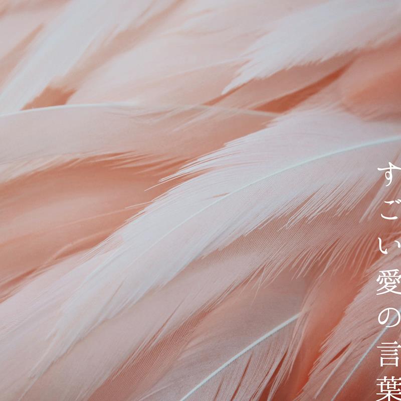 ズーカラデル、ニューAL収録の新曲「すごい愛の言葉」配信リリース