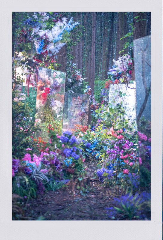 「Mrs. GREEN APPLE、新曲「Dear」MVティザーフォト第1弾は“神秘的な森”」1枚目/1