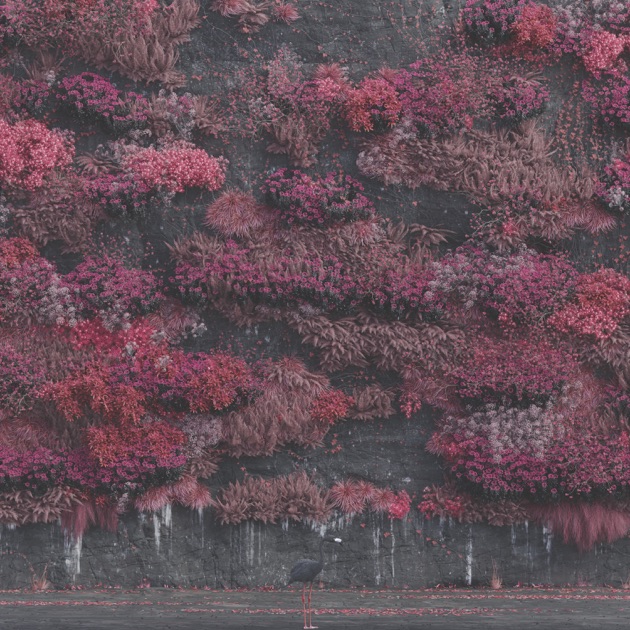 「【米ビルボード・アルバム・チャート】スリープ・トークン自身初の首位、カリ・ウチスが初登場2位」1枚目/1