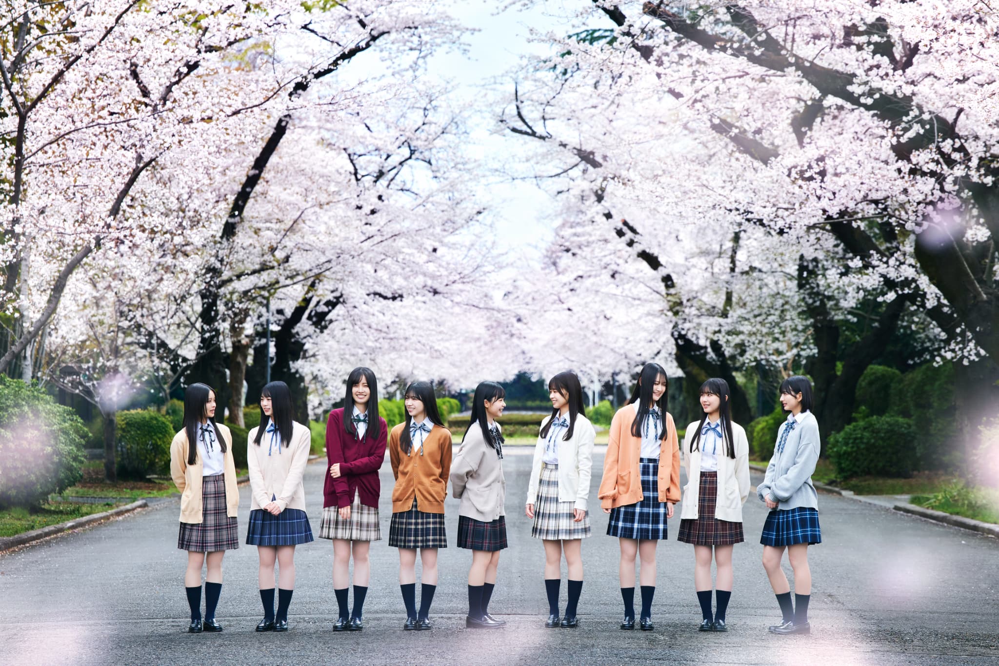 櫻坂46 死んだふり　生写真 全メンバー　フルコンプ image.jpg