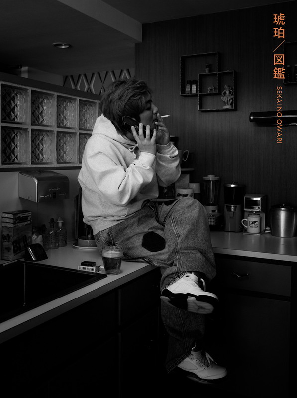 「SEKAI NO OWARI 初回限定盤A『琥珀／図鑑』」2枚目/7