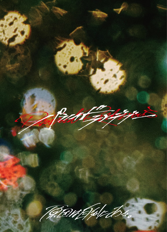 「原因は自分にある。 シングル『パラノイドランデブー』ゲンジブ観測所限定盤」11枚目/11