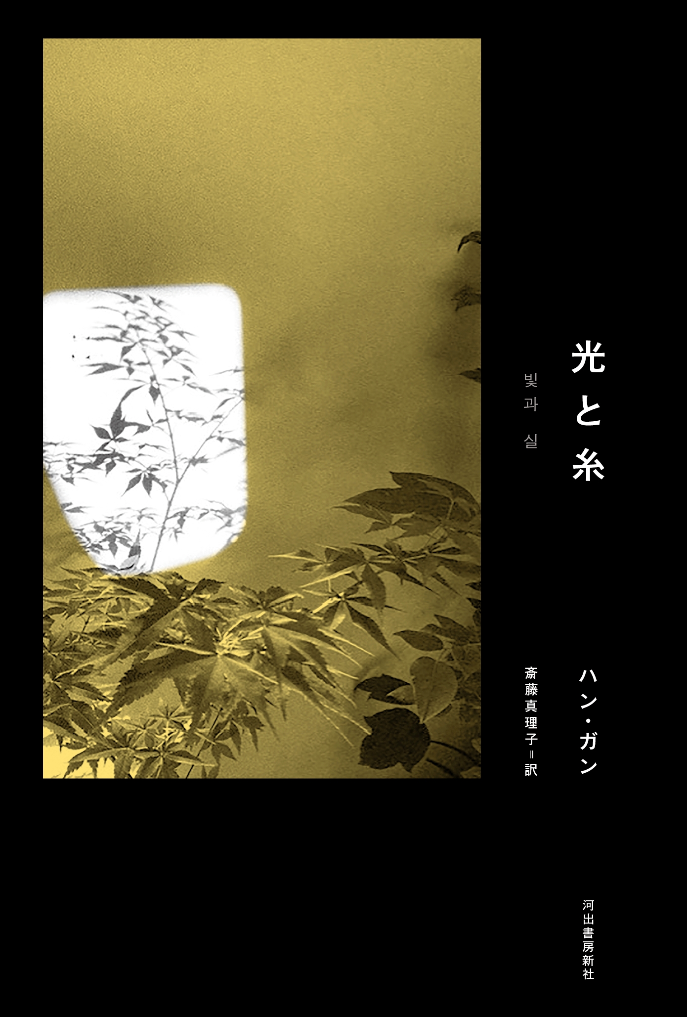 ハン・ガン、ノーベル文学賞受賞後初の作品『光と糸』発売 光と愛を