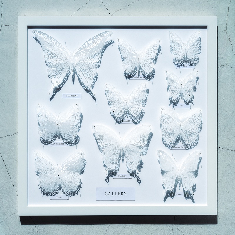 沖聡次郎（Novelbright）、ビルボードライブ横浜単独公演に向けソロ