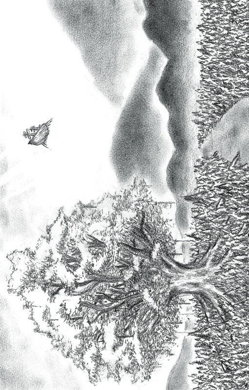 「カセットテープコレクション『BUMP OF CHICKEN CASSETTE TAPE COLLECTION』（ユグドラシル）」5枚目/13