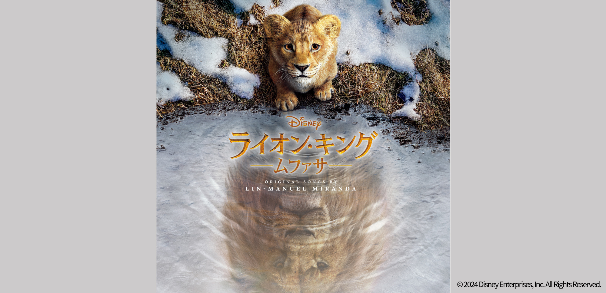 ライオンキング ムファサ 世界5枚限定 ディズニー ライオンキング