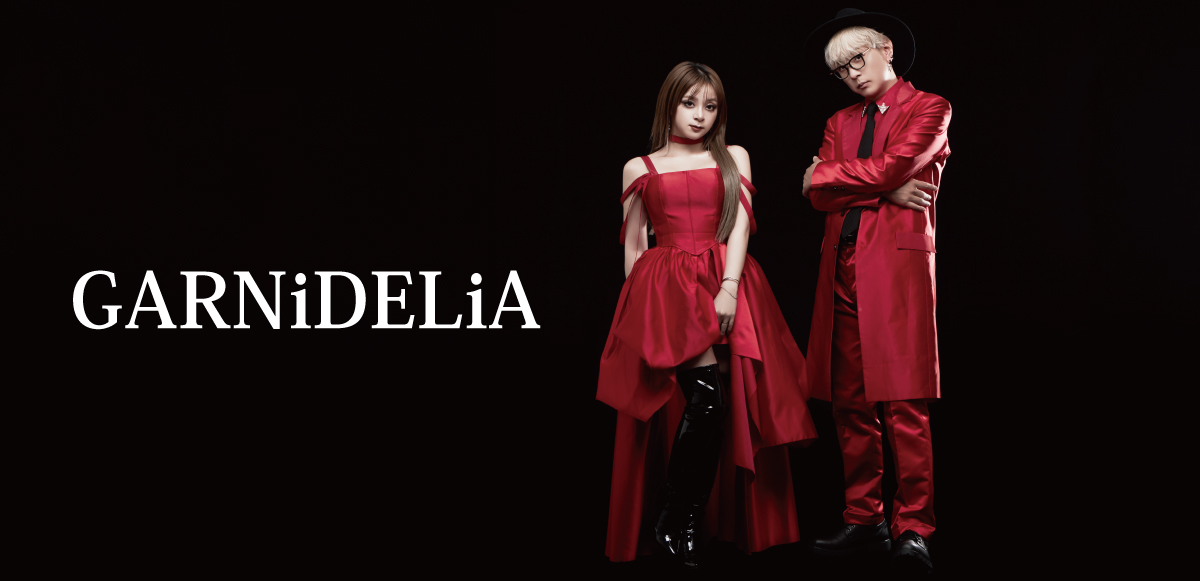GARNiDELiA CD 19枚 ×ポスター2枚 GARNiDELiA COVER COLLECTiON