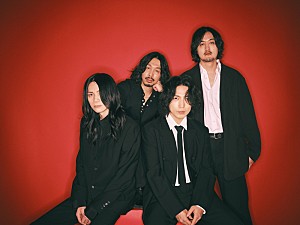 The Novembers