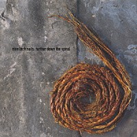 ナイン・インチ・ネイルズ「 ファーザー・ダウン・ザ・スパイラル」