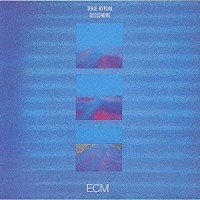 テリエ・リピダル「 デセンドレ」