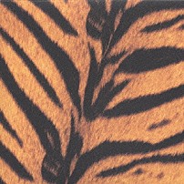 ↑ＴＨＥ　ＨＩＧＨ－ＬＯＷＳ↓ 「Ｔｉｇｅｒｍｏｂｉｌｅ」