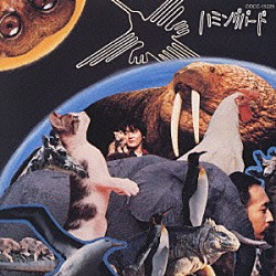 ＨＵＭＭＩＮＧ　ＢＩＲＤ「ハミング　バード」