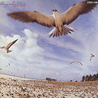 高中正義「 ＳＥＹＣＨＥＬＬＥＳ」