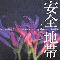 安全地帯「 ベスト・ソングス・フォー・ユー」