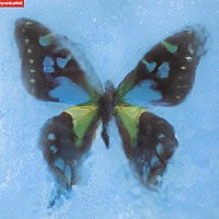 ポルノグラフィティ「 アゲハ蝶」