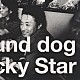 ＨＯＵＮＤ　ＤＯＧ「ＬＵＣＫＹ　ＳＴＡＲ」