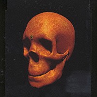 ＳＥＸ　ＭＡＣＨＩＮＥＧＵＮＳ「 みかんのうた（ライブ）」