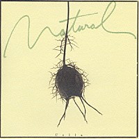 長谷川陽子「心のチェロ」 | VICC-60010 | 4988002351930 | Shopping