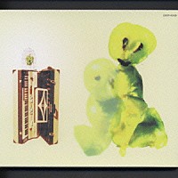 カーネーション「 Ｐａｒａｋｅｅｔ＆Ｇｈｏｓｔ」