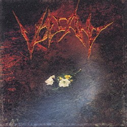 ＶＯＬＣＡＮＯ「ダヴィ」