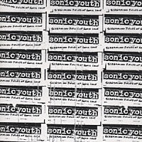 ソニック・ユース「 スクリーミング・フィールズ・オブ・ソニック・ラヴ」