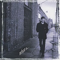 リッチー・コッツェン「 ホワット・イズ・・・」