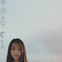 Ｃｏｃｃｏ 「強く儚い者たち」