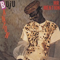 ブジュ・バントン「 ミスター・メンション」