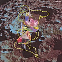 平沢進「 ヴァーチュアル・ラビット」